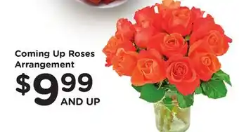 Ralphs Coming Up Roses Arrangement offer