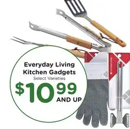 Ralphs Everyday Living Kitchen Gadgets offer