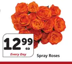 Vons Spray Roses offer