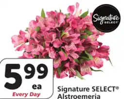 Vons Signature SELECT Alstroemeria offer