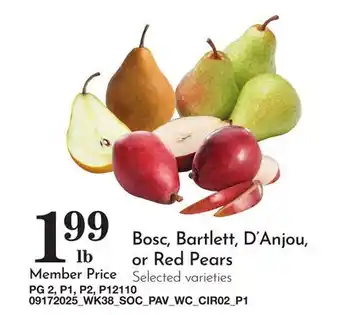 Pavilions Bosc, Bartlett, D'Anjou, or Red Pears offer