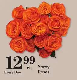 Pavilions Spray Roses offer