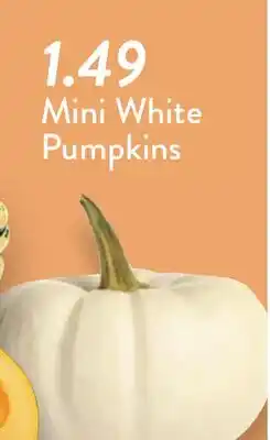 Fresh Thyme Mini White Pumpkins offer