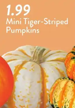 Fresh Thyme Mini Tiger-Striped Pumpkins offer