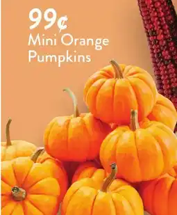 Fresh Thyme Mini Orange Pumpkins offer