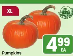Tony’s Fresh Market Pumpkins offer