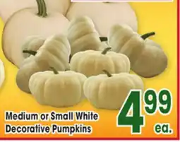 Jewel-Osco Medium or Small White Decorative Pumpkins offer