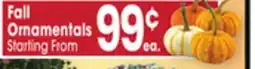 Jewel-Osco Fall Ornamentals offer