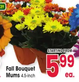 Jewel-Osco Bouquet Fall Bouquet Mums offer