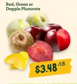 Sprouts Farmers Market Red, Green or Dapple Plumcots offer