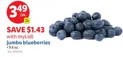 Lidl jumbo blueberries offer