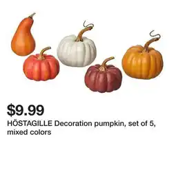 Ikea HÖSTAGILLE Decoration pumpkin, set of 5, mixed colors offer