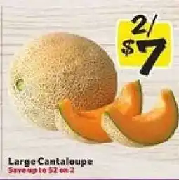 Winn Dixie Large Cantaloupe offer