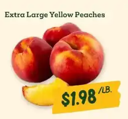 Sprouts Farmers Market Extra large yellow peaches offer