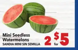 Vallarta Supermarkets Mini Seedless Watermelons / SANDIA MINI SIN SEMILLA offer
