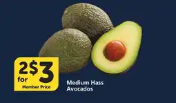 Vons Medium Hass Avocados offer