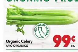 Vallarta Supermarkets Organic Celery / APIO ORGANICO offer
