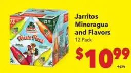 Vallarta Supermarkets Jarritos Mineragua and Flavors offer