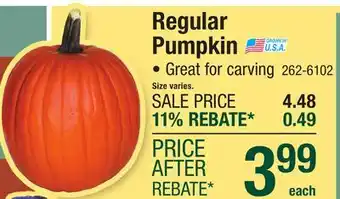 Menards Regular Pumpkin offer