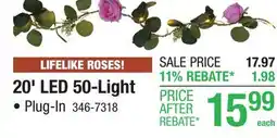 Menards 20' LED 50-Light • Plug-In offer