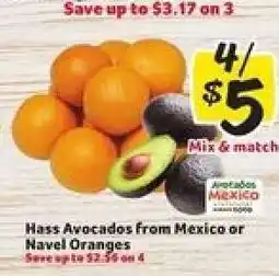 Winn Dixie Hass Avocados from Mexico or Navel Oranges offer