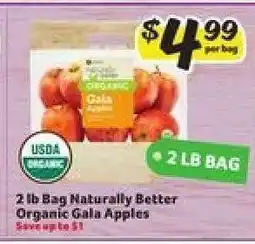 Winn Dixie 2 lb Bag Naturally Better Organic Gala Apples offer