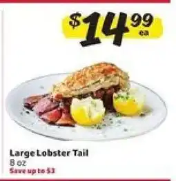 Winn Dixie Large Lobster Tail offer