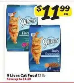 Winn Dixie 9 Lives Cat Food offer
