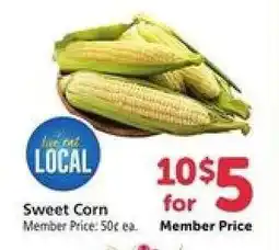 Safeway Sweet Corn offer