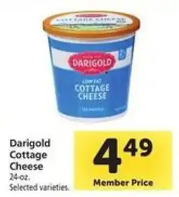 Safeway Darigold Cottage Cheese offer