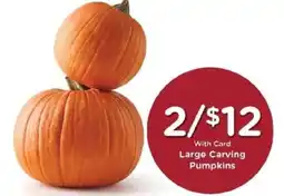 Kroger Large Carving Pumpkins offer