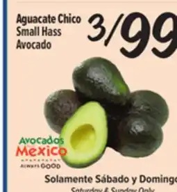 El Super Small Hass Avocado offer