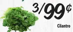 El Super Cilantro offer