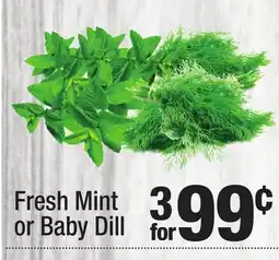 Super King Markets Fresh Mint or Baby Dill offer