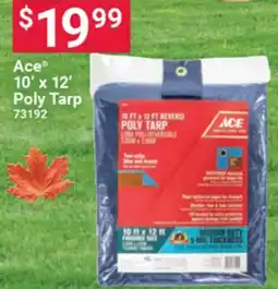 Ace Hardware Ace 10' x 12' Poly offer