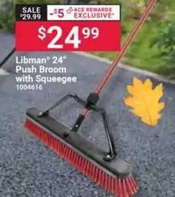 Ace Hardware Libman 24 Push Broom with Squeegee offer
