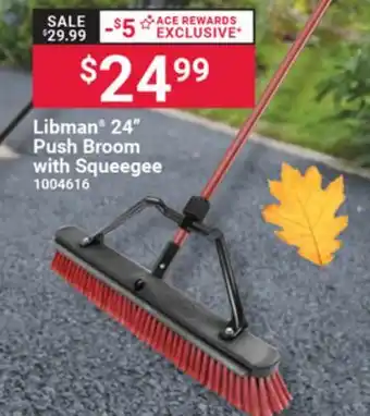 Ace Hardware Libman 24 Push Broom with Squeegee offer