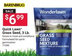 Ace Hardware Quick Lawn Grass Seed, 3 Lb offer