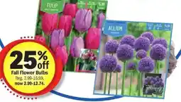 Meijer Fall Flower Bulbs offer