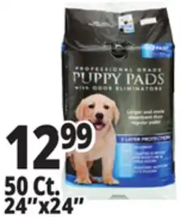 Ocean State Job Lot Puppy Pads offer