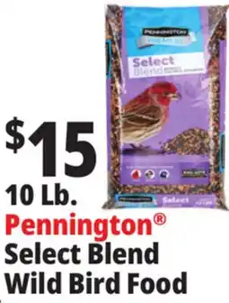 Ocean State Job Lot Pennington Select Blend Wild Bird Food offer