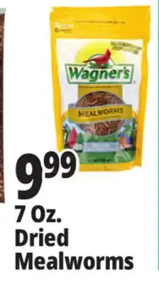 Ocean State Job Lot Dried Mealworms offer