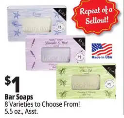 Ocean State Job Lot Bar Soaps offer