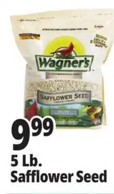 Ocean State Job Lot 5 Lb. Safflower Seed offer
