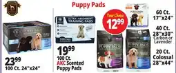 Ocean State Job Lot Huntington Pet Products Professional Grade 24 x 24 Puppy Pads with Odor Eliminators 100 Count offer