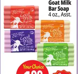 Ocean State Job Lot Goat Milk Bar Soap offer