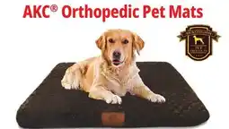 Ocean State Job Lot Orthopedic Pet Mats offer