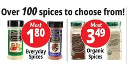 Ocean State Job Lot Everyday Spices offer