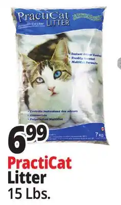 Ocean State Job Lot Practicat Litter offer