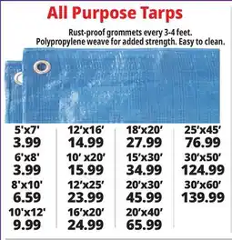Ocean State Job Lot All Purpose Tarps offer